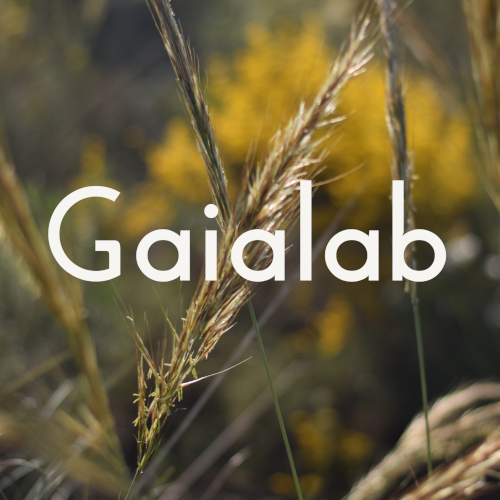 Perfil de Gaialab